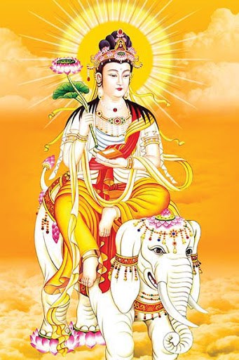 6 Vị Bồ Tát Phổ Biến Nhất Trong Phật Giáo: Ý Nghĩa, Hình Tượng Và Danh Hiệu 6 Phổ Hiền Bồ Tát (Samantabhadra)